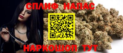 сатива Нижний Тагил