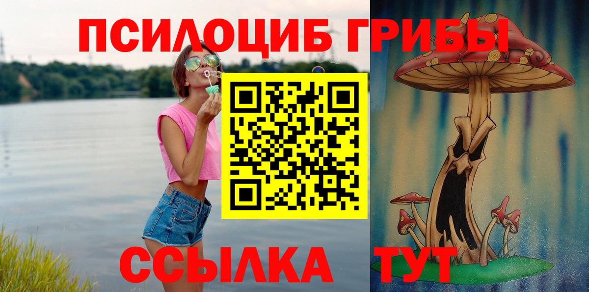 Галлюциногенные грибы Cubensis Магадан