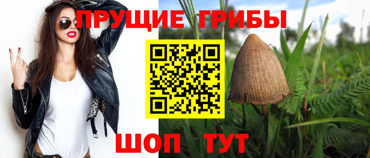Псилоцибиновые грибы Psilocybe  Вход с VPN  Магадан 